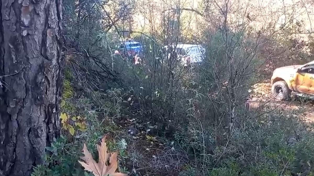 Kayıp kişi ormanlık alanda ölü bulundu! 1 kişi tutuklandı