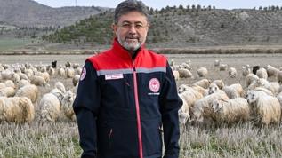 Tiftik için yeni dönem: Özel destek geliyor