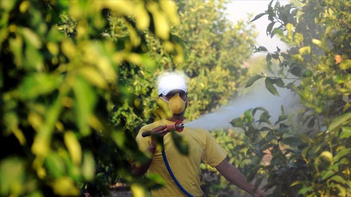 Zehirlenme vakaları sonrası yeni tedbir! Artık zorunlu oldu