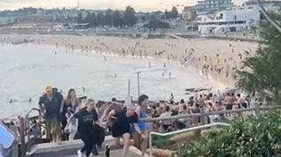 Avustralya'nın Sydney kentindeki plajda silahlı saldırı! 12 kişi hayatını kaybetti