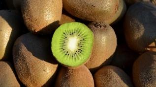 Kronik kabızlığı hafifletmenin sürpriz yolu: Kivi, maden suyu ve çavdar ekmeği