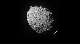 Asteroit Ryugu'dan gelen nadir mineral yaşamın kökenini aydınlatıyor