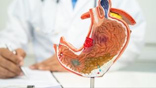 Mide ve beyin ritmi ruh sağlığını belirliyor