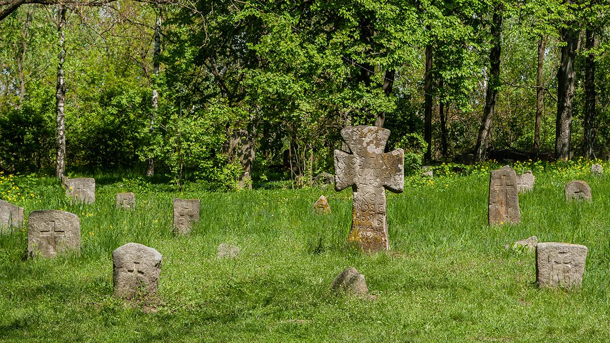 Viking mezarında gizemli tarak kabuğu bulundu