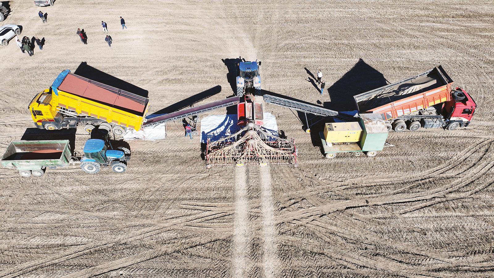 İklim değişikliğine karşı güçlü tohum