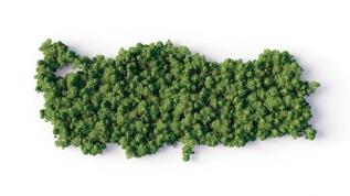 İklim eyleminde Türkiye vurgusu! Liderlik rolü üstleniyor