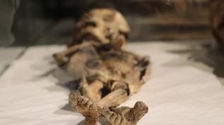 Atakama çölünde gizli kalan mumyaların gerçek amacı ortaya çıktı