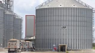 Bazı tarım ürünlerinin depolama süreleri değişti: Karar Resmi Gazete'de