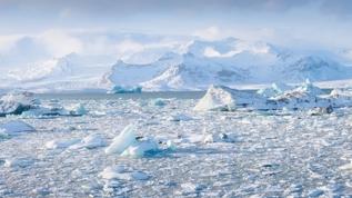 Kuzey Kutbu'nda rekor sıcaklıklar! İklim krizi kışı değiştirdi