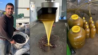 Tam bir şifa kaynağı... Kara meyve altın sıvıya dönüşüyor! 5 ila 6 kilogram 1 kilogram elde ediliyor