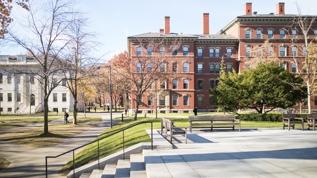 Harvard morg müdürü vücut parçalarını satıştan 8 yıl hapis cezası aldı