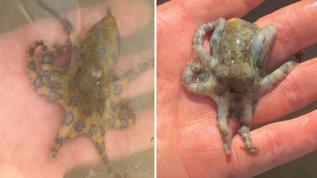 O anı videoya aldı, ölümle burun buruna geldi