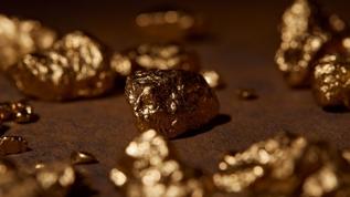 Bilim insanları doğal maddeyi altına çeviren bakteri buldu