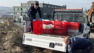 Gıda denetiminde skandal görüntüler: Kilolarca et imha edildi