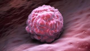 Yeni immünoterapi yöntemi birçok kanser türünü tedavi edebilir