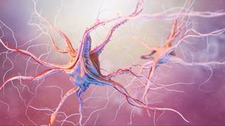 Bilim insanları çocukluk çağı demansına neden olan gen mutasyonunu çözdü