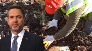 Gabar'da fidan dikim seferberliği! "Enerjide tam bağımsız doğasıyla yeşil bir Türkiye için çalışıyoruz"