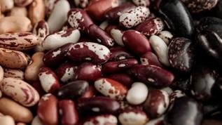 Beslenme uzmanları tarafından önerilen en sağlıklı 6 fasulye çeşidi