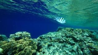 Kıyı Bangladeş'in derinliklerinde ne gizli? Bilim insanları şaşırttı