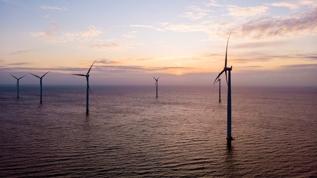 Trump yönetimi açık deniz rüzgar projelerini ulusal güvenlik gerekçesiyle durdurdu