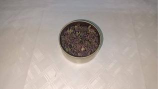 Yurt dışına kaçırmaya çalıştı: 557 bin lira ceza yedi