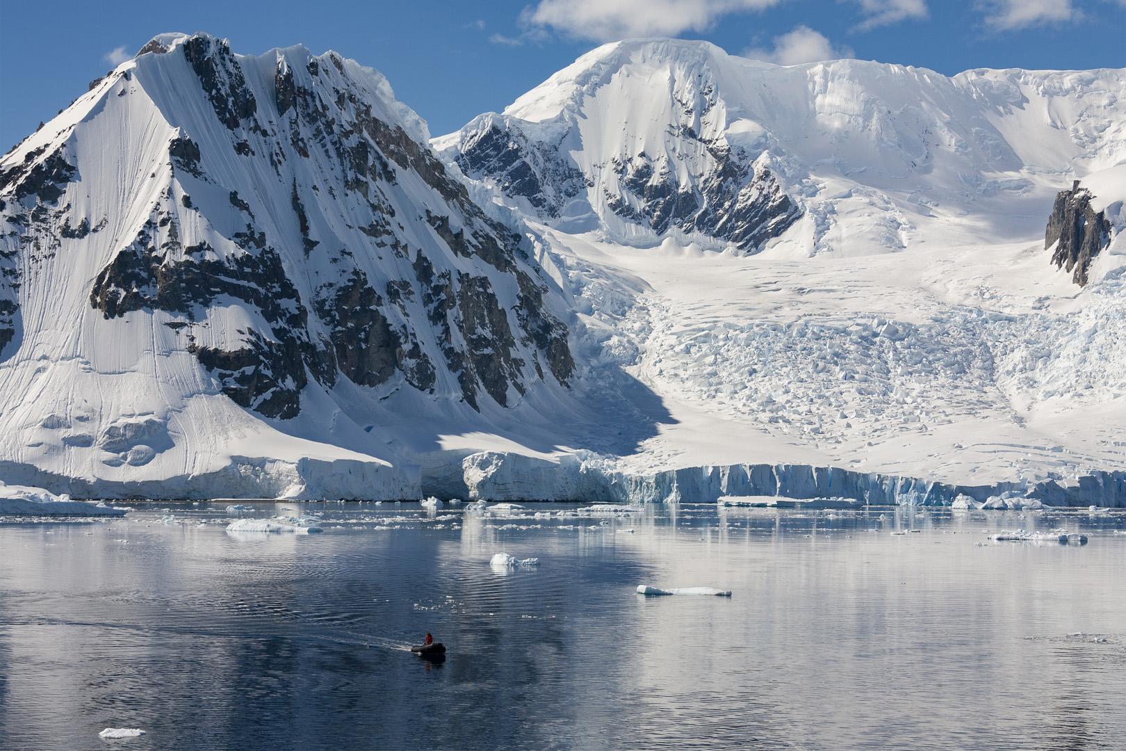 190 milyon yıllık gizem! Antarktika'da dev dinozor kalıntısı bulundu
