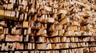 Çelikten daha güçlü, çok daha hafif! Süper ahşap devrimi başladı