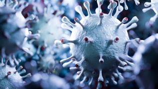 Covid sonrası Avrupa'ya yeni tehdit! MERS virüsü Fransa'ya ulaştı