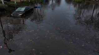 Güçlü fırtına Kaliforniya'da ölümlere ve tahliyelerine neden oldu