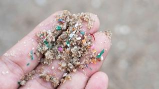 Mikroplastik antibiyotik dirençli bakterilerin üreme ortamı haline geldi