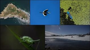 Biyolojik çeşitliliği tahrip edenlere yüzde 25,49 oranında ceza artışı