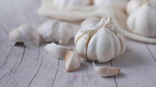 Diş çürümesine karşı doğal çözüm: Sarımsak
