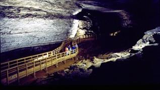 Dünyanın en uzun mağarasında gizli kalan antik köpekbalıkları ortaya çıktı