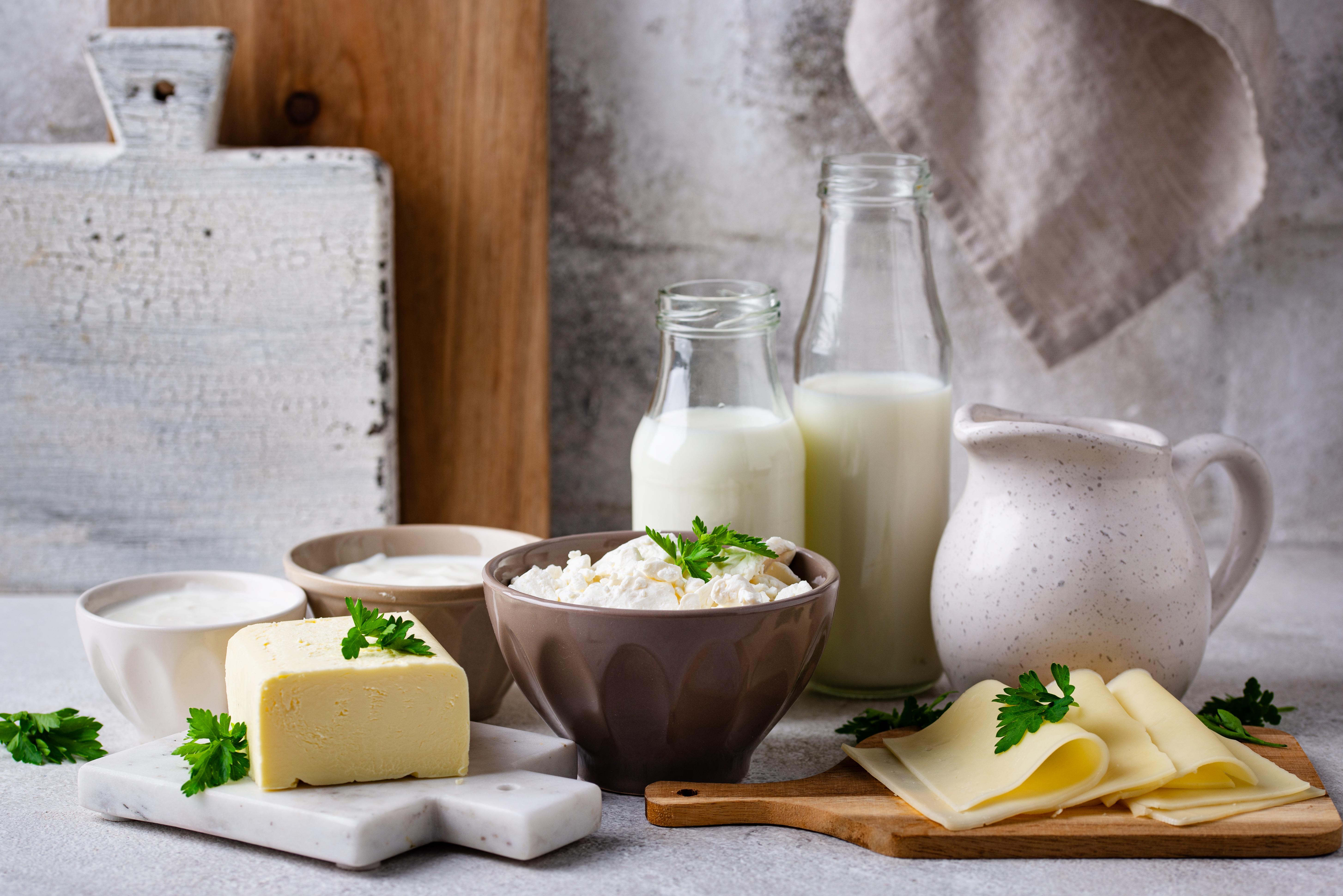 Süt ve peynir tüketimi bağırsaklarınızda neleri değiştiriyor? Sonuçlar şaşırtıcı