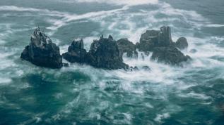 Pasifik Okyanusu'nda Zealandia'nın gizemi! 8. kıta sonunda bulundu