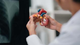 Bilim insanları kalbi güçlü tutan gizli bağlantıyı keşfetti