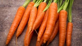 Havuç atıkları yüksek kaliteli vegan proteinin anahtarı olabilir