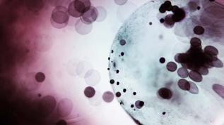 Kanser tedavisinde devrim! Doğal öldürücü hücrelerin seri üretim yöntemi bulundu