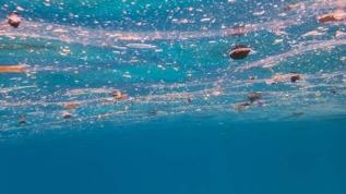 Mikroplastiklerin görünmez tehdidi! Güneş ışığı su kaynaklarını nasıl etkiliyor?