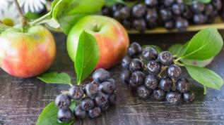 Aronia meyvesi nedir ve neden herkes onu konuşuyor?