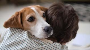 Köpeğiniz omzunuza başını koyarsa dikkat edin!