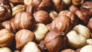 Fındık tüketimi artıyor ama sağlık riskleri göz ardı ediliyor