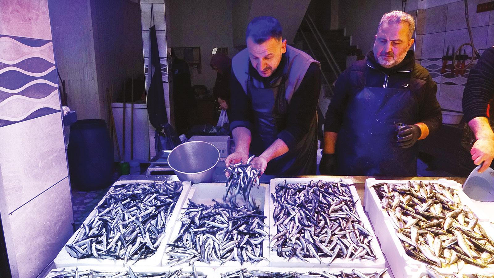 Ucuz hamsi Gürcü gümrüğüne takıldı!