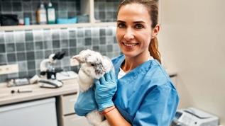 Veteriner seçerken dikkat etmeniz gereken uyarı işaretleri