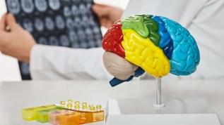 Beyin yorgunluğu nasıl algıladığını değiştirebiliyor