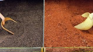 Türkiye'den 14,1 milyon dolarlık pul biber ihracatı yapıldı