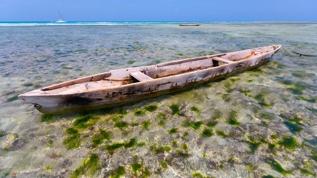 Mendota Gölü'nde bulunan kano, piramitlerden daha eski çıktı