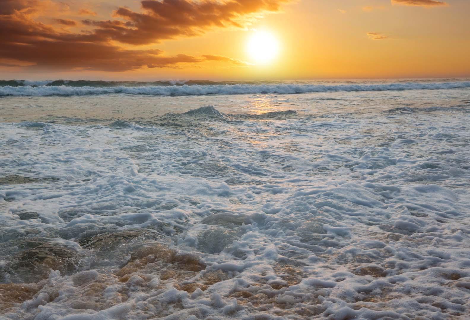 Soğuk okyanusta sıcaklığını koruyan tek balık türü