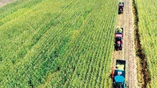 IPARD-III desteklerine Türkiye'nin dört bir yanından yoğun ilgi