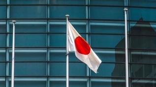 Japonya'da ufukta erken seçim görünüyor